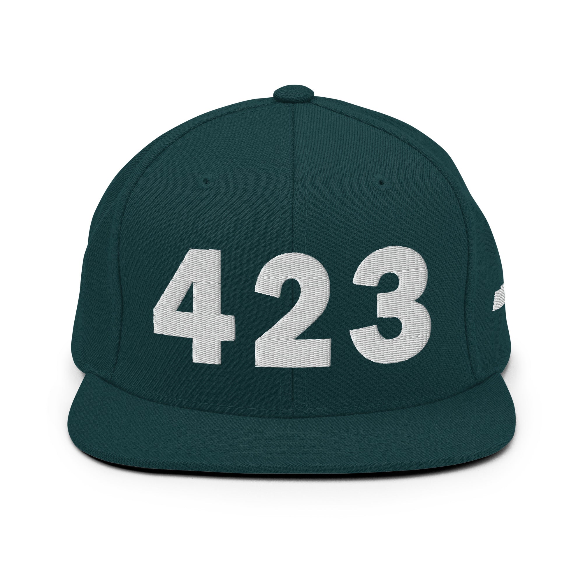 423 Area Code Snapback Hat