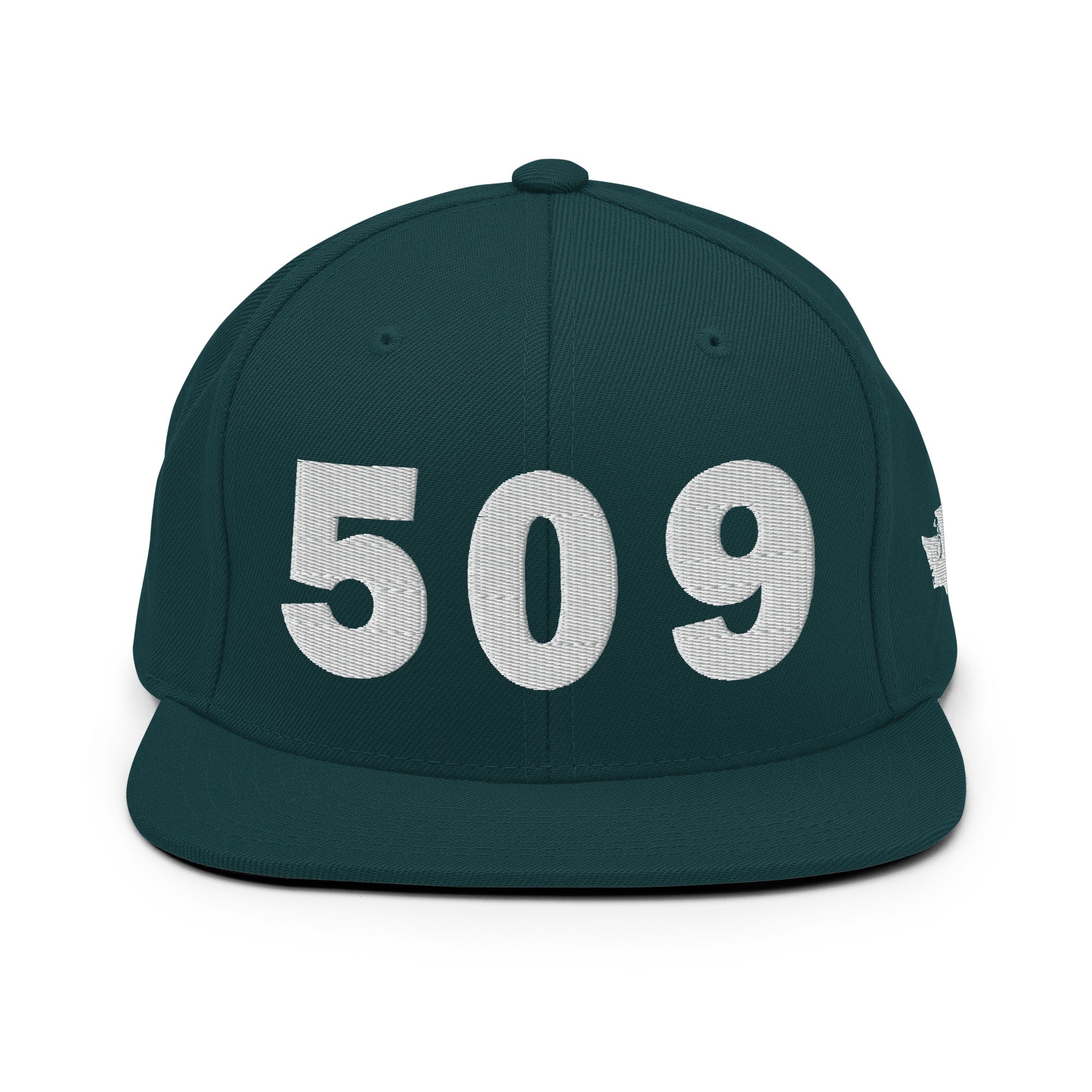 509 Area Code Snapback Hat