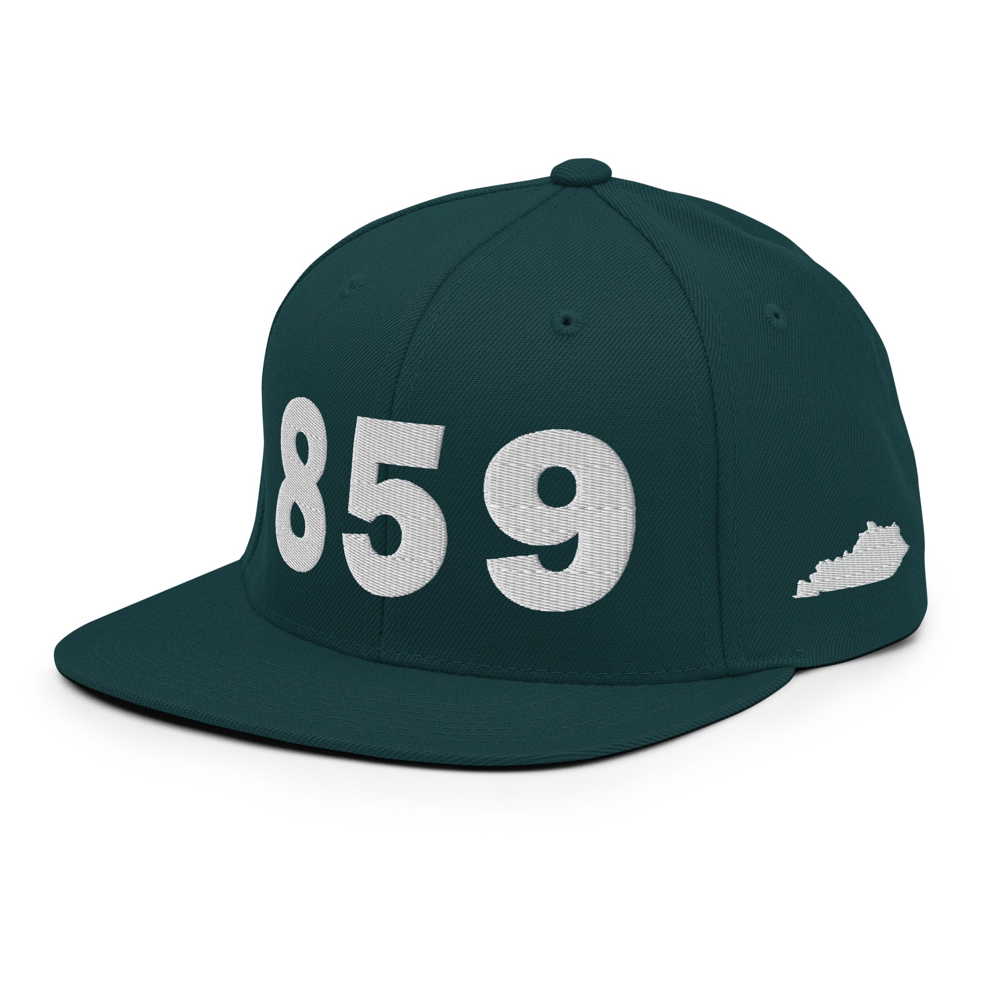 859 Area Code Snapback Hat