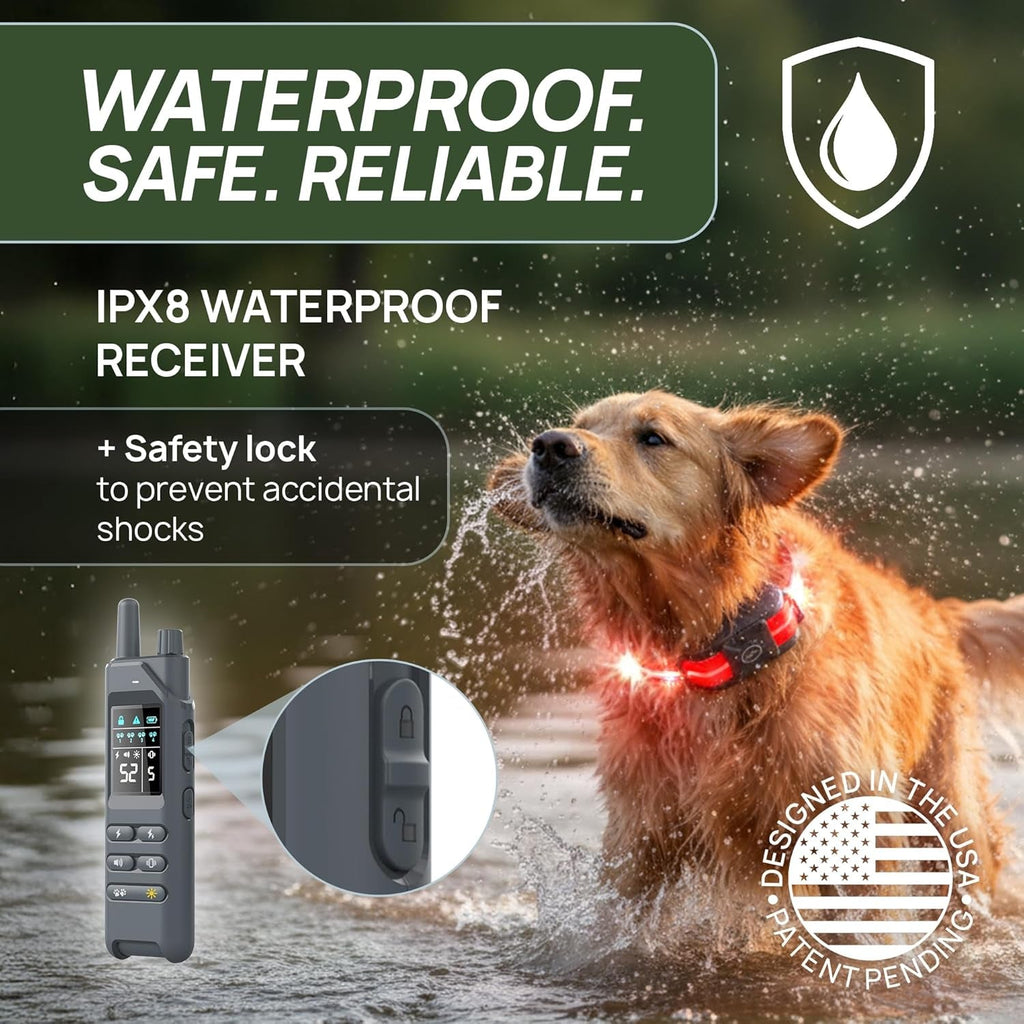 Dog Training Collar for 2 Dogs with LED Lights 4200FT Waterproof