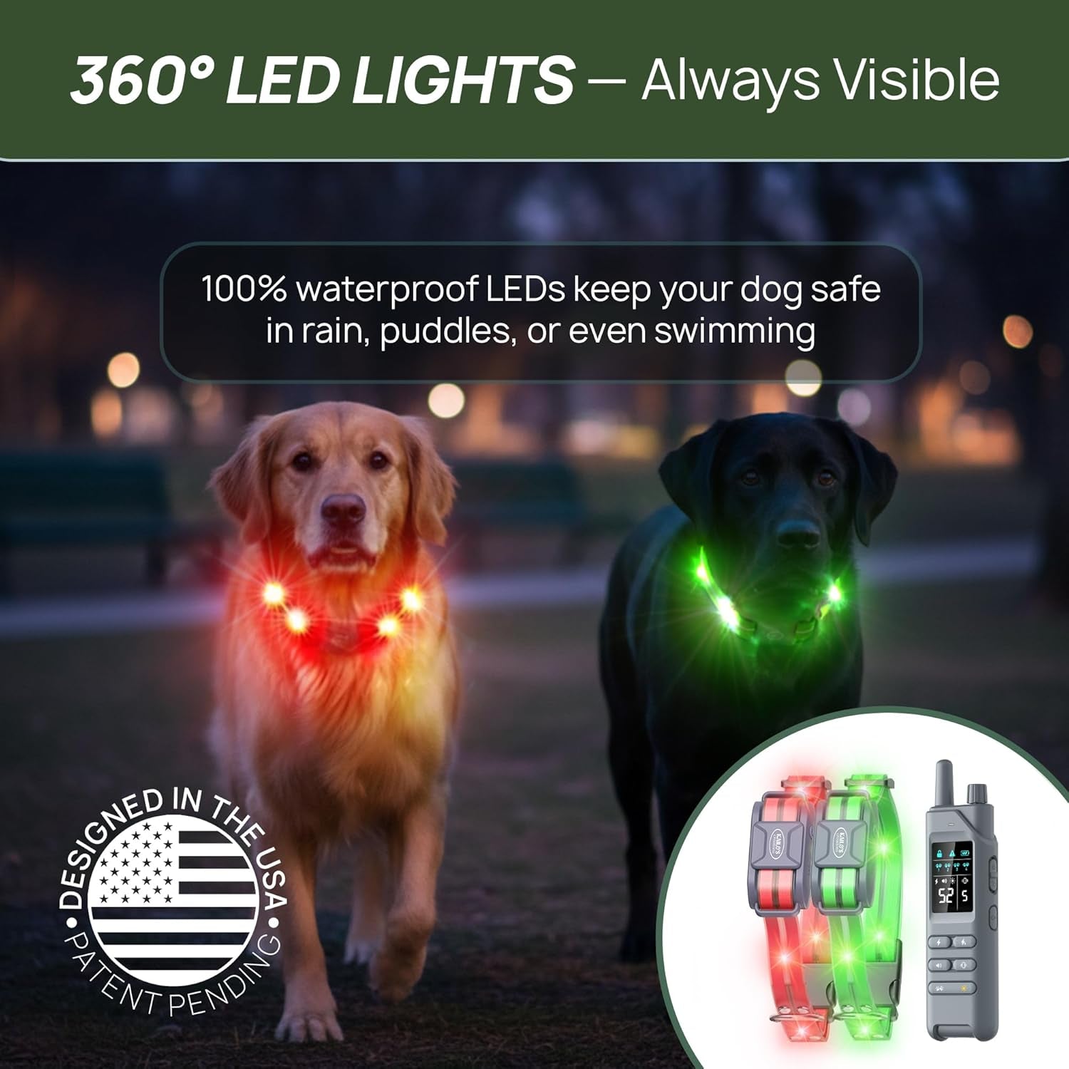 Dog Training Collar for 2 Dogs with LED Lights 4200FT Waterproof