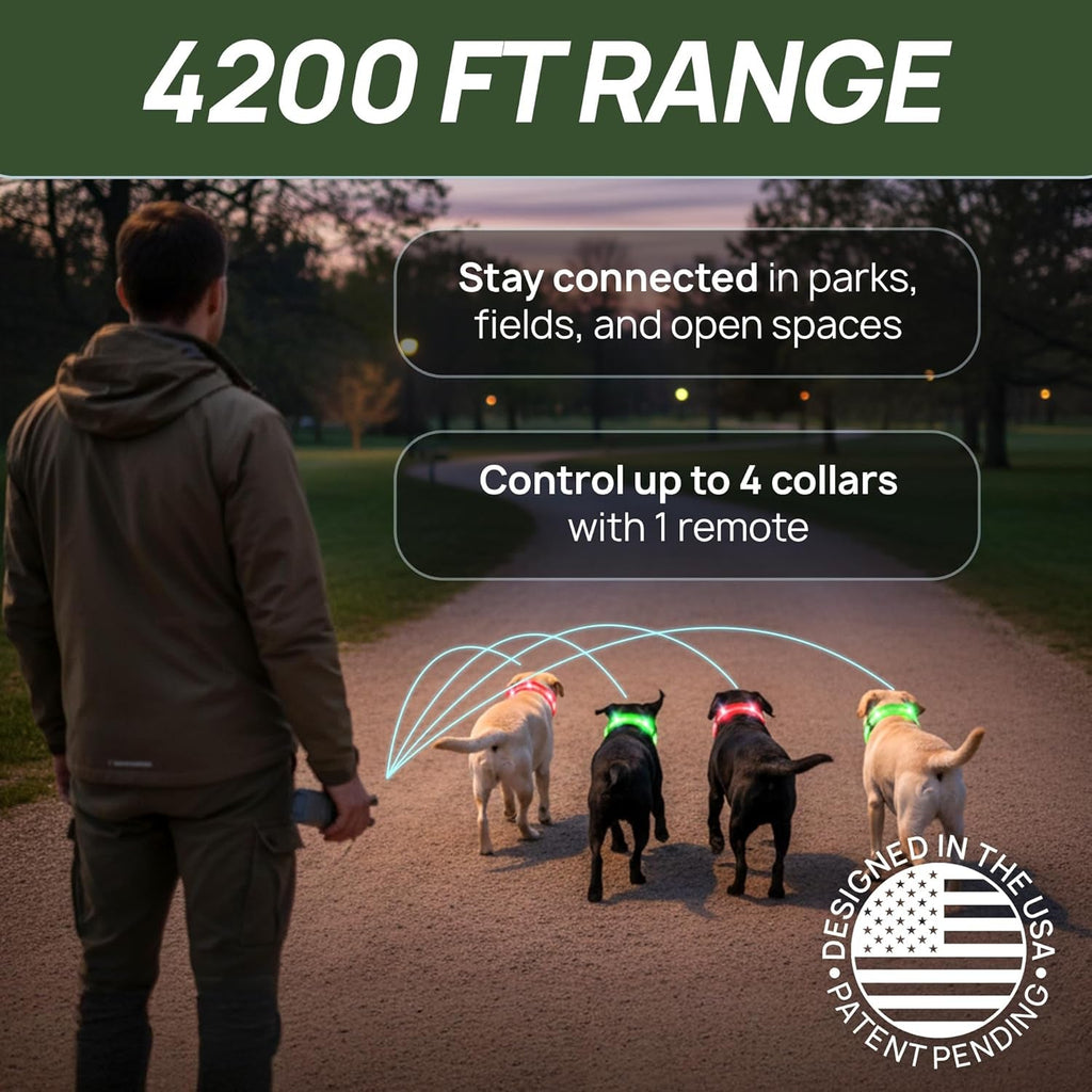 Dog Training Collar for 2 Dogs with LED Lights 4200FT Waterproof