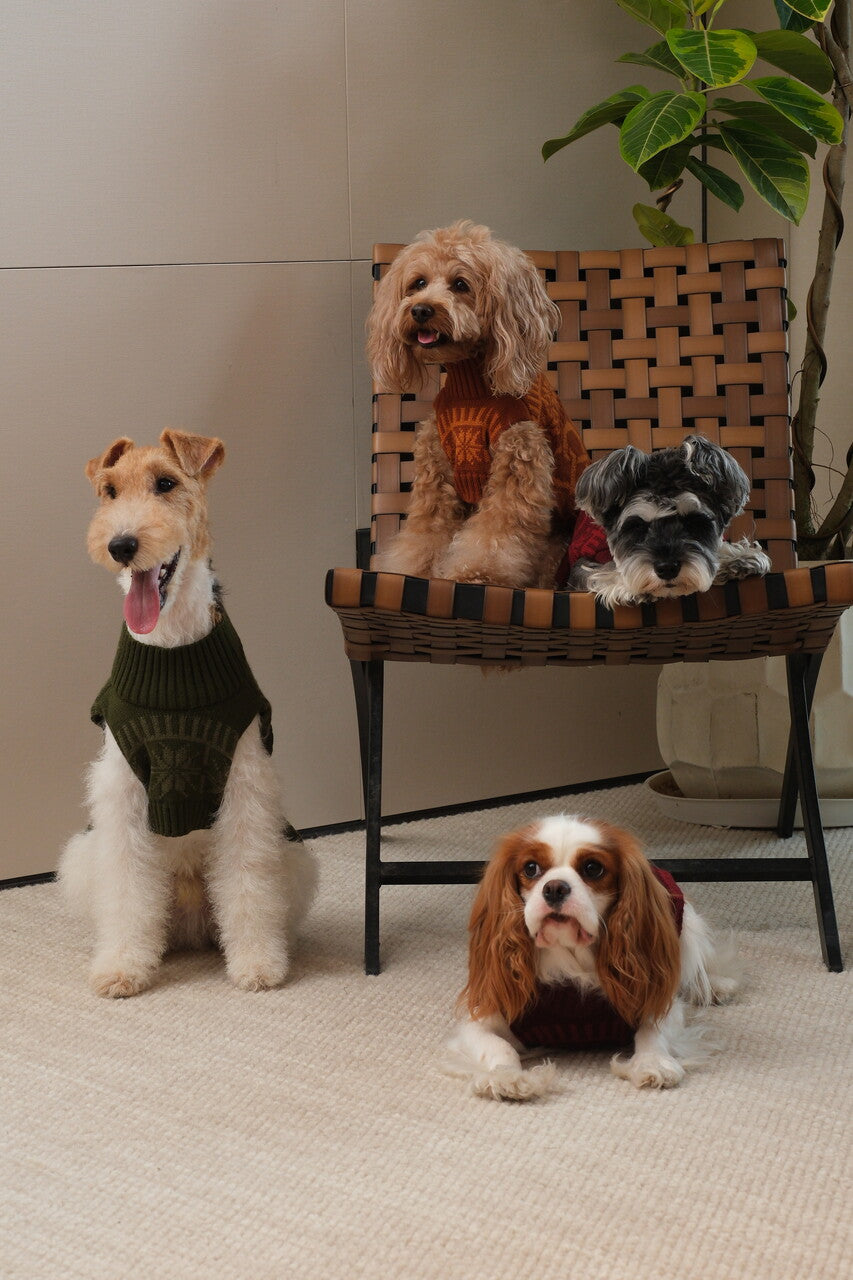 Pretzel Pet Sweater - Tofee Orange