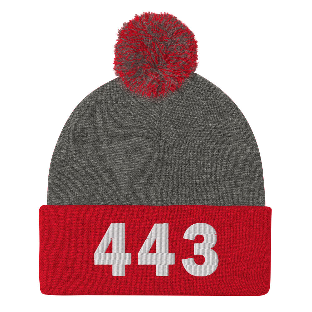 443 Area Code Pom-Pom Beanie
