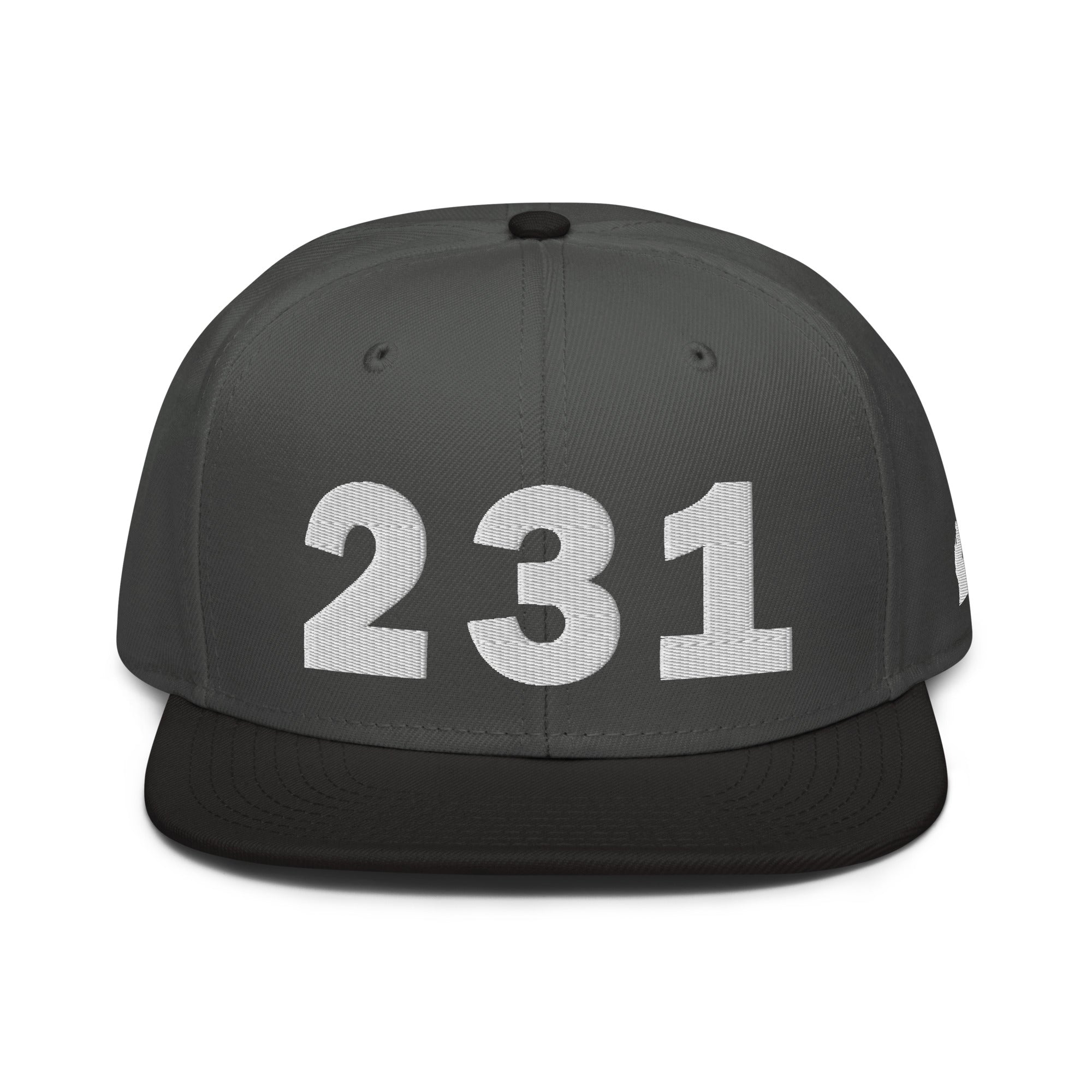 231 Area Code Snapback Hat