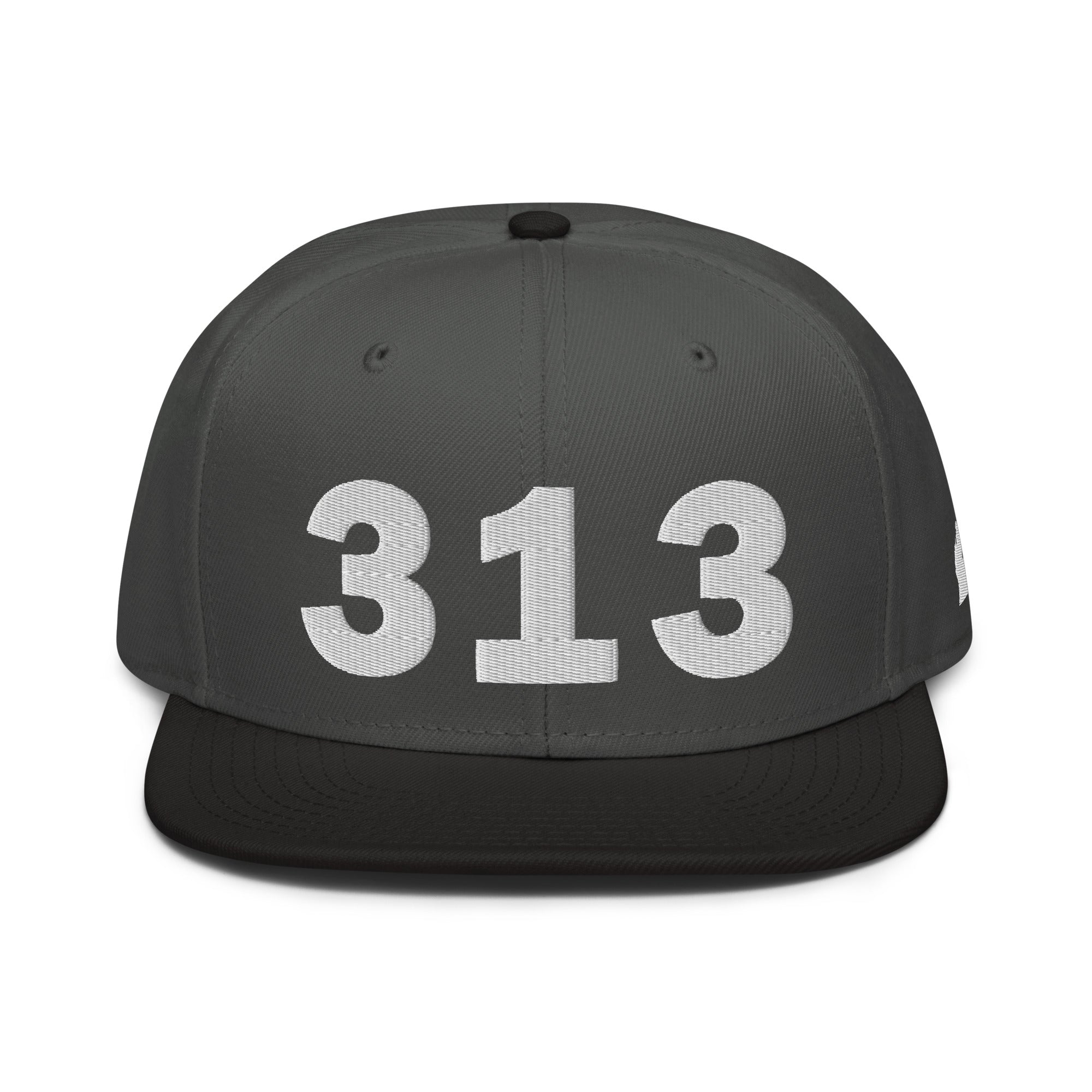 313 Area Code Snapback Hat