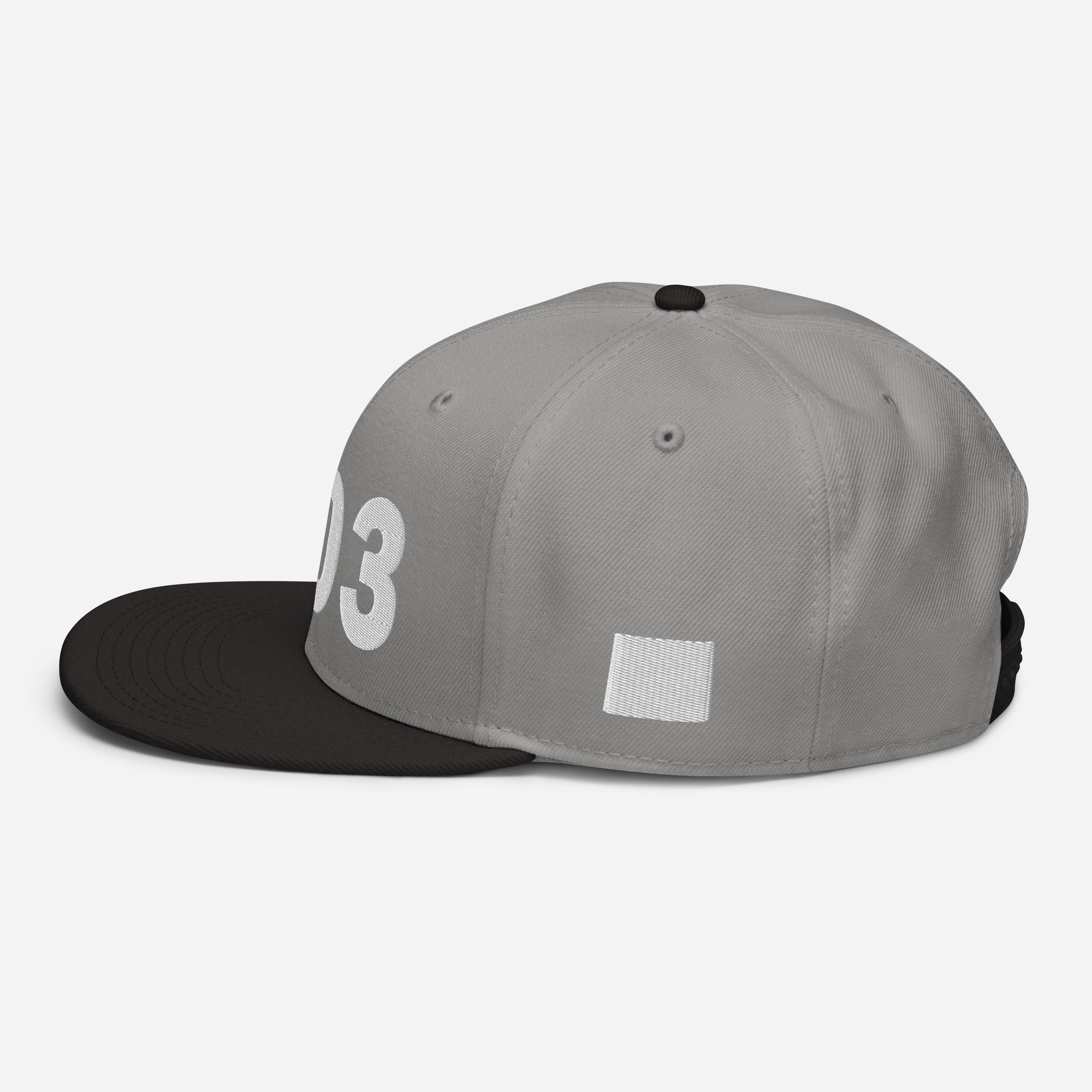 303 Area Code Snapback Hat