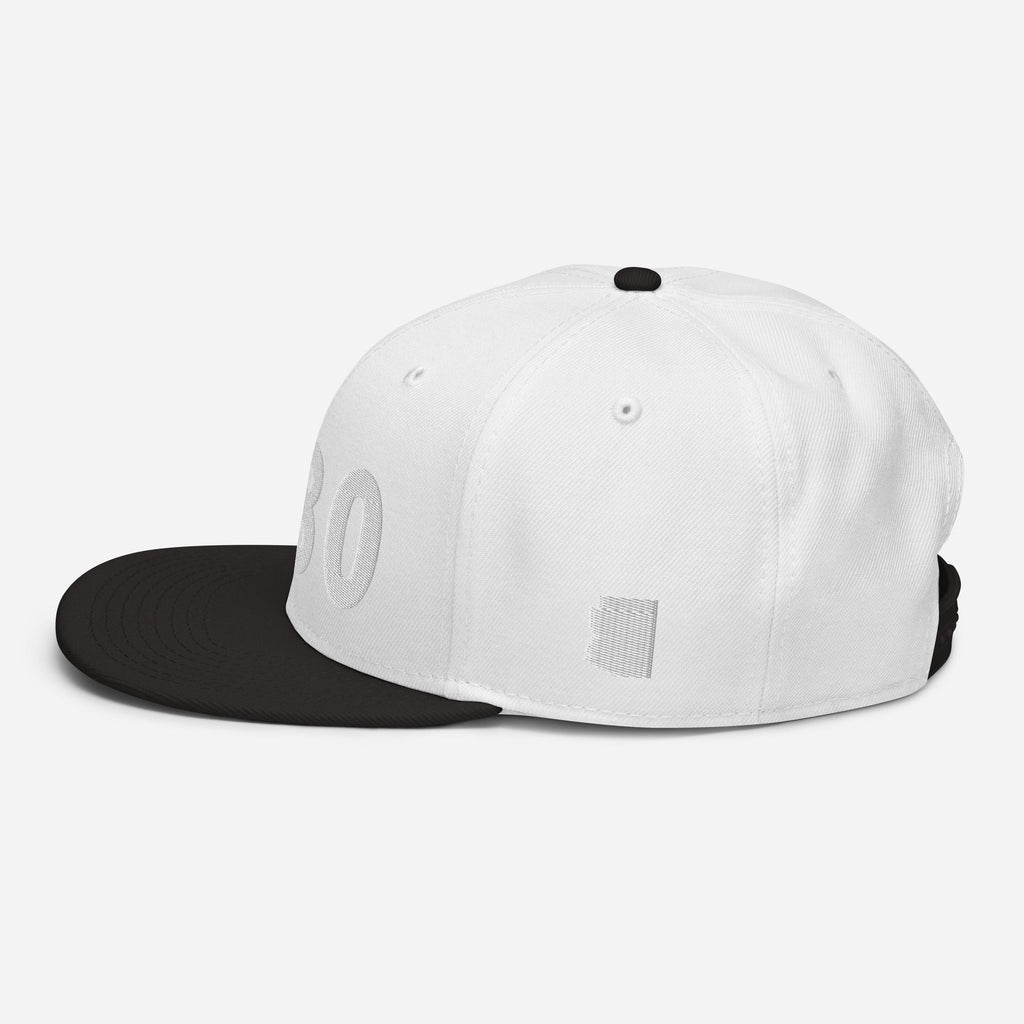 480 Area Code Snapback Hat