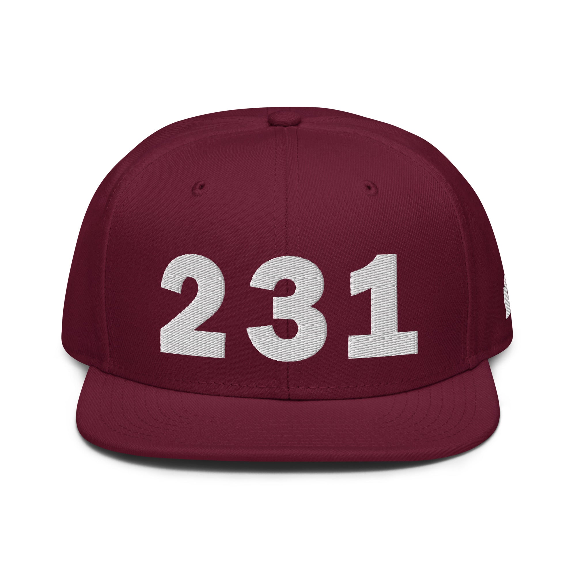 231 Area Code Snapback Hat
