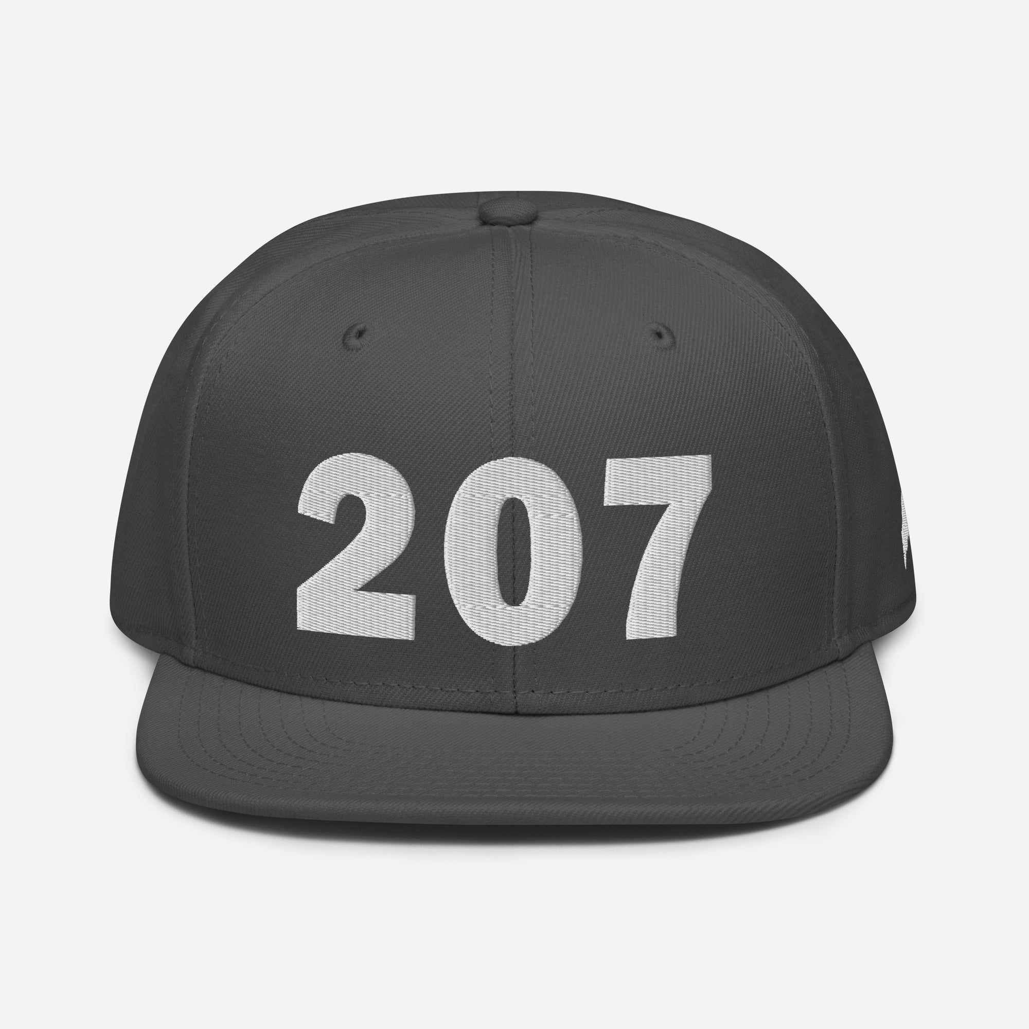 207 Snapback Hat