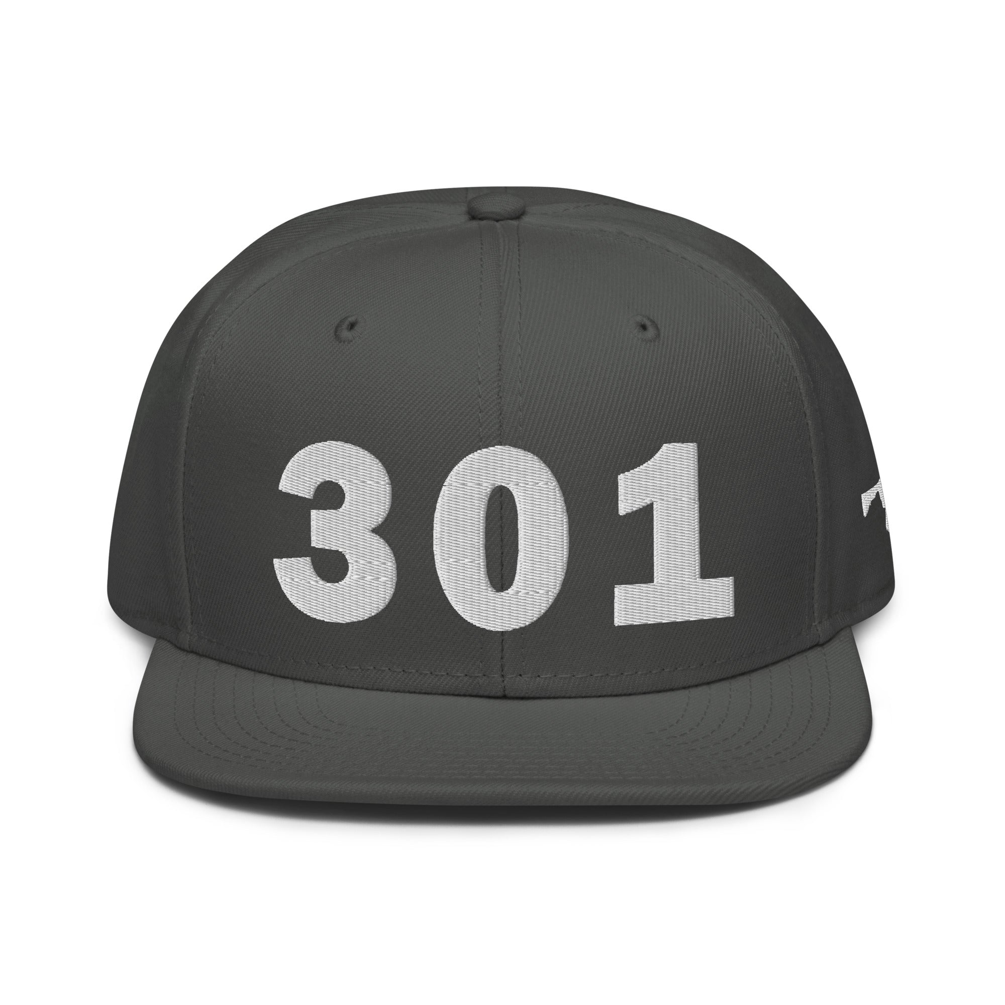 301 Area Code Snapback Hat
