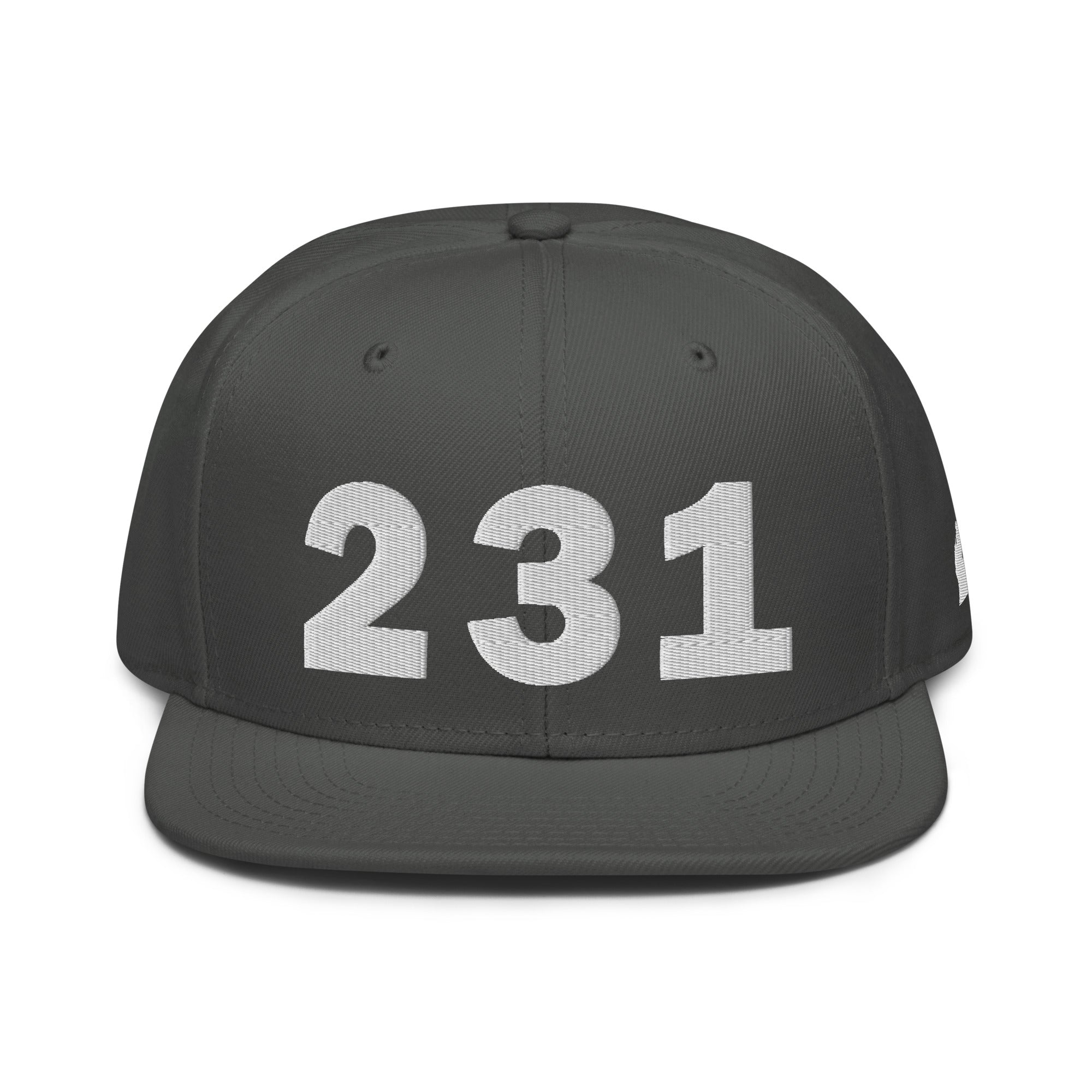 231 Area Code Snapback Hat