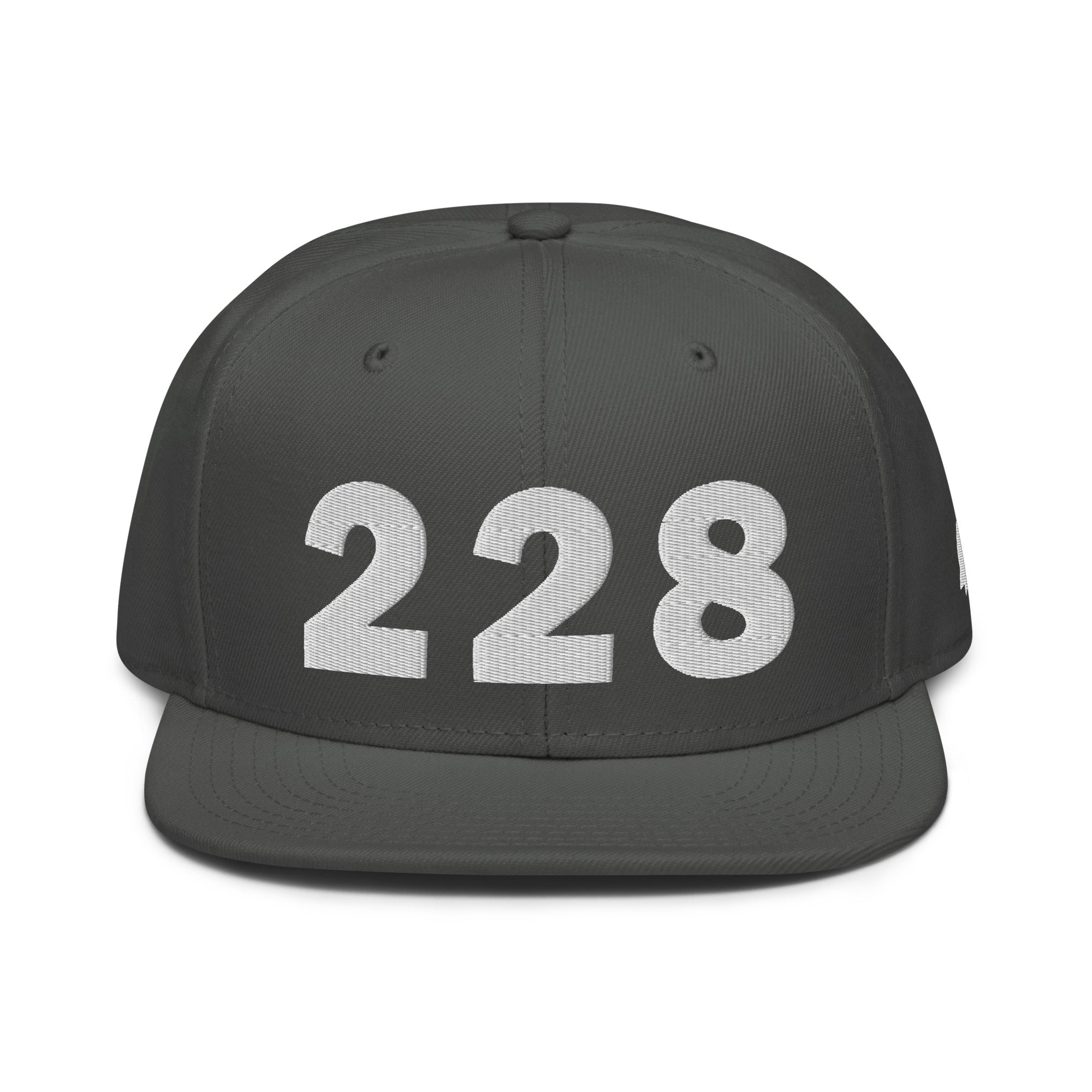 228 Area Code Snapback Hat