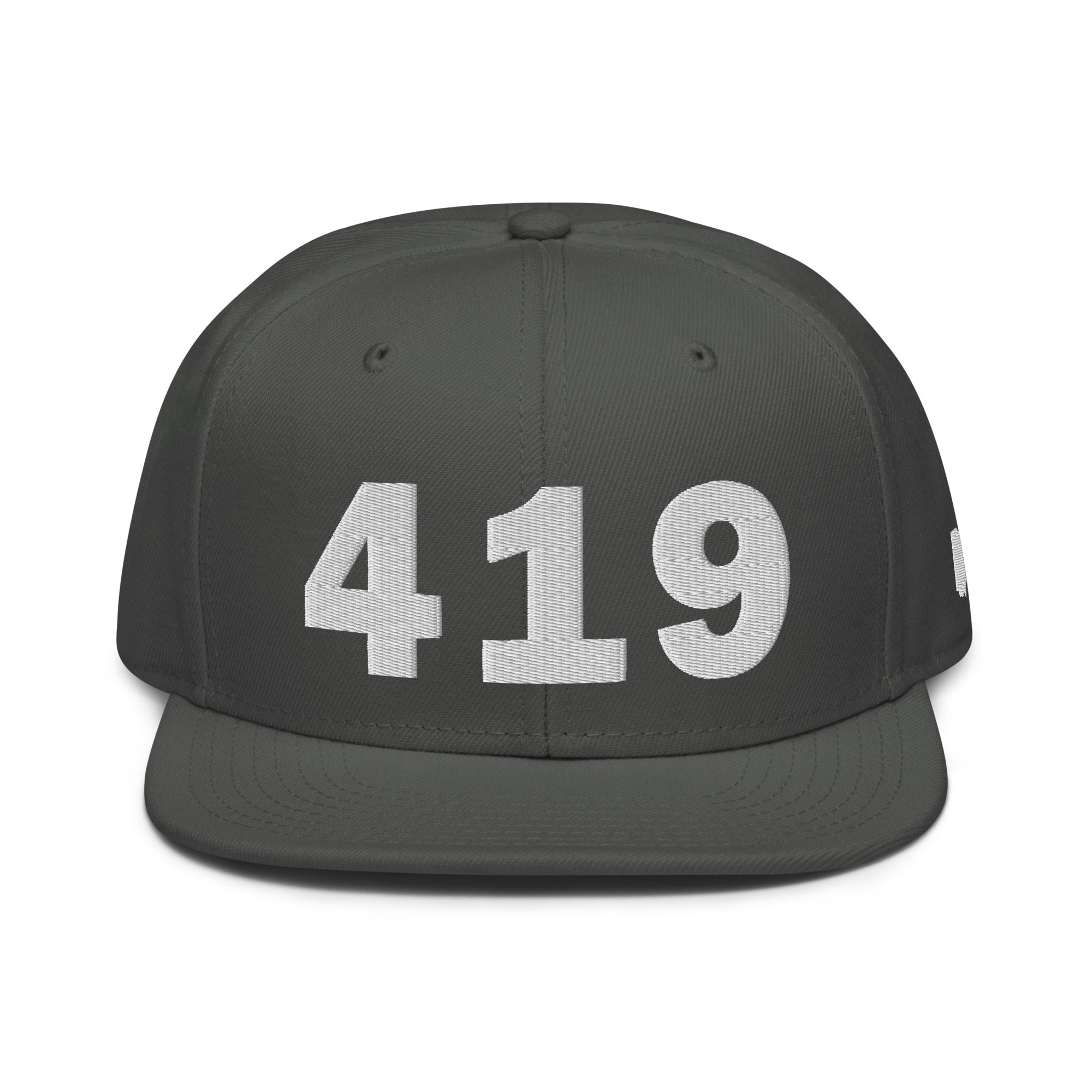 419 Area Code Snapback Hat