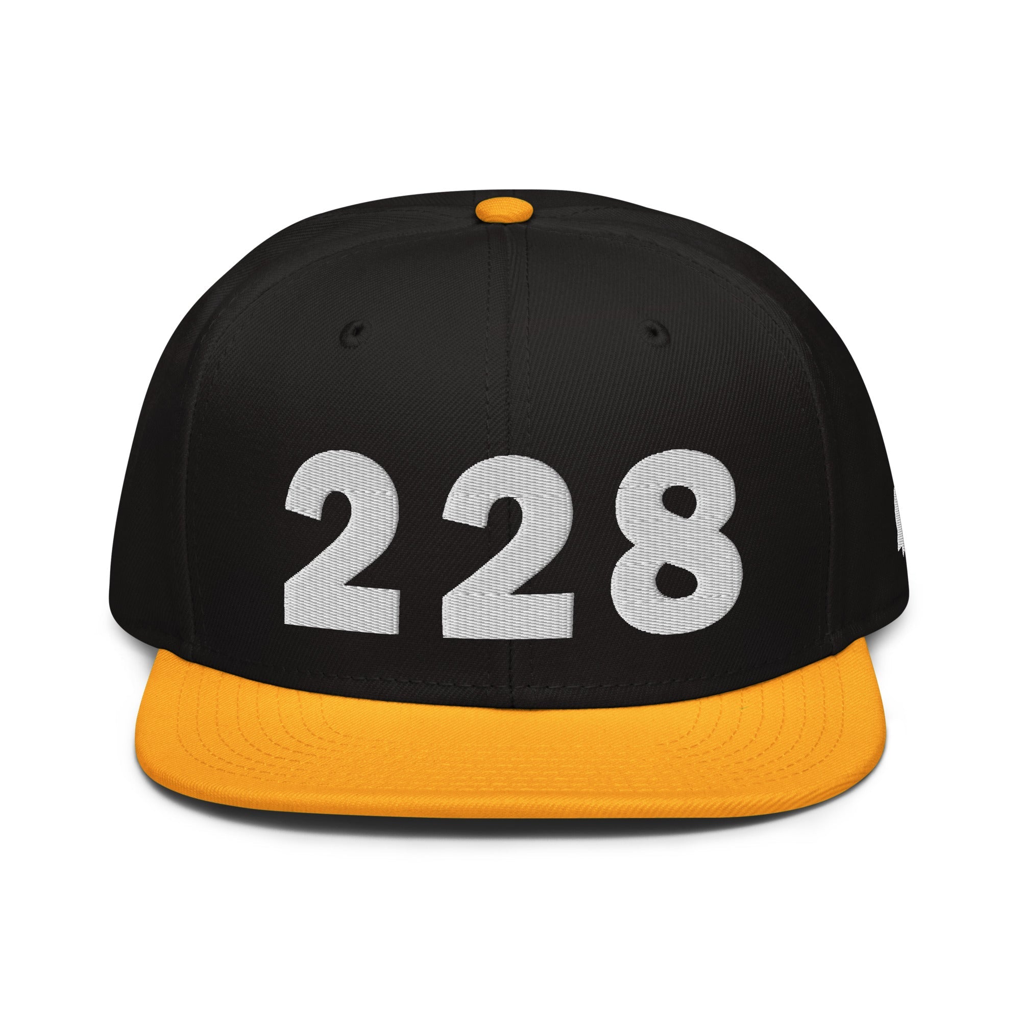 228 Area Code Snapback Hat