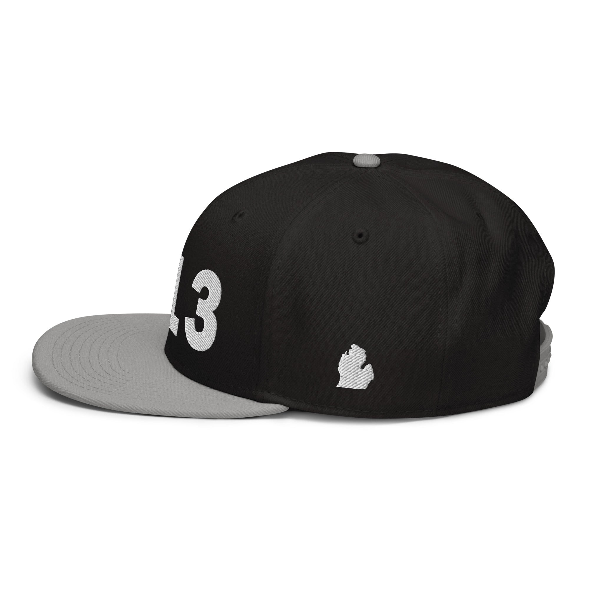 313 Area Code Snapback Hat