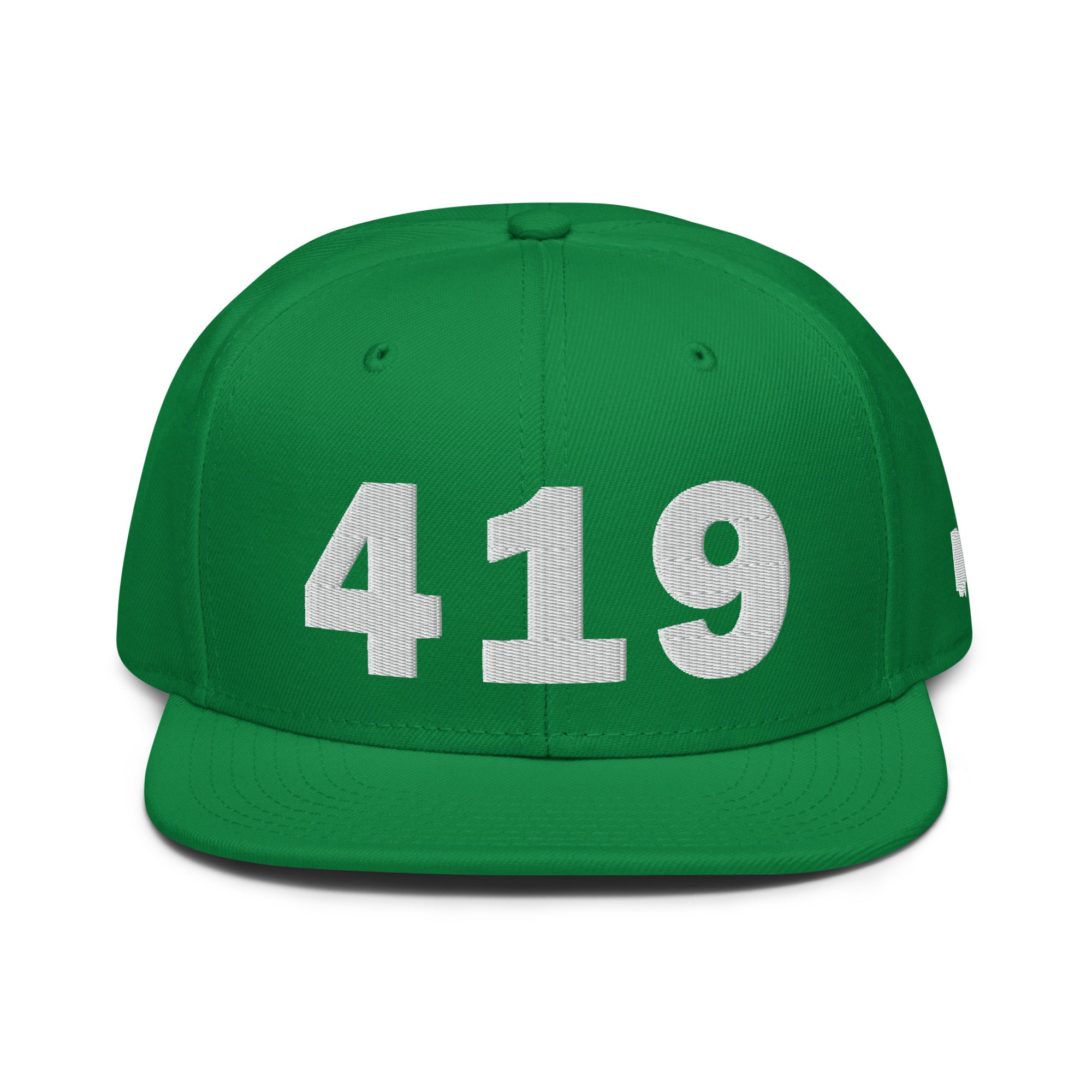 419 Area Code Snapback Hat