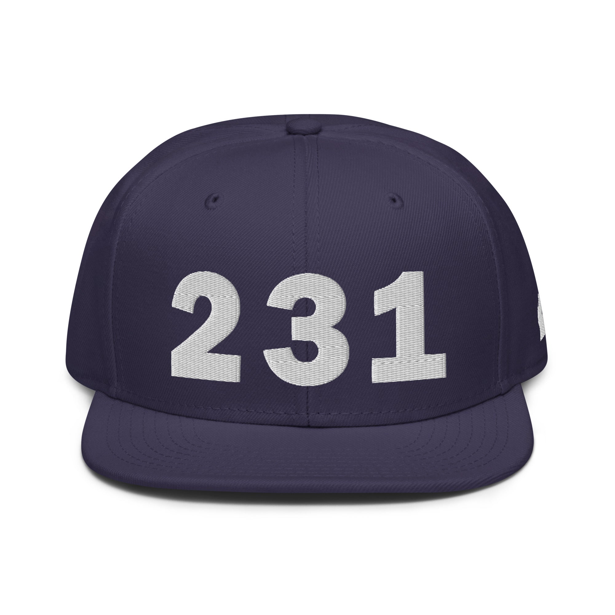 231 Area Code Snapback Hat