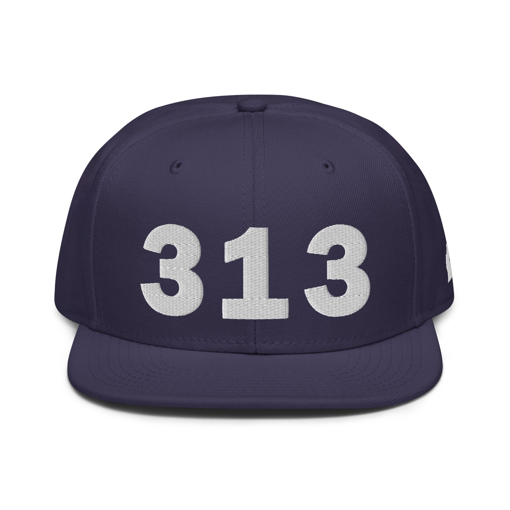 313 Area Code Snapback Hat
