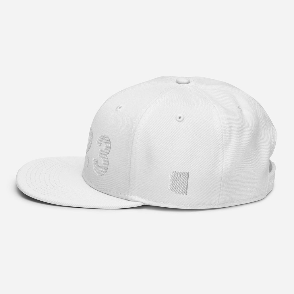623 Area Code Snapback Hat