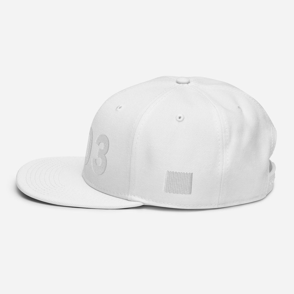 303 Area Code Snapback Hat